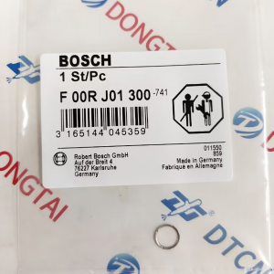 NO.501(2-4) BOSCH CRI Support ring F 00R J01 300