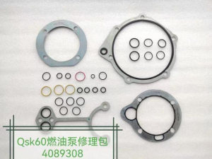 NO.129(6) QSK60 Pump Repair Kit 4089308