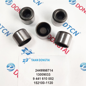 NO.555(6-1) Bosch Pump Piston 2449998714,13009033, 9 441 610 002=152100-1120