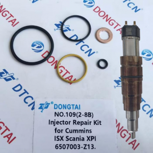 NO.109(2-8B) Injector Repair Kit   for Cummins ISX Scania XPI  6507003-Z13